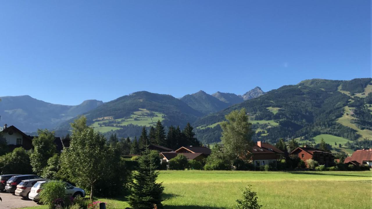 Apartmenthaus Rapplhof Haus im Ennstal Exteriér fotografie
