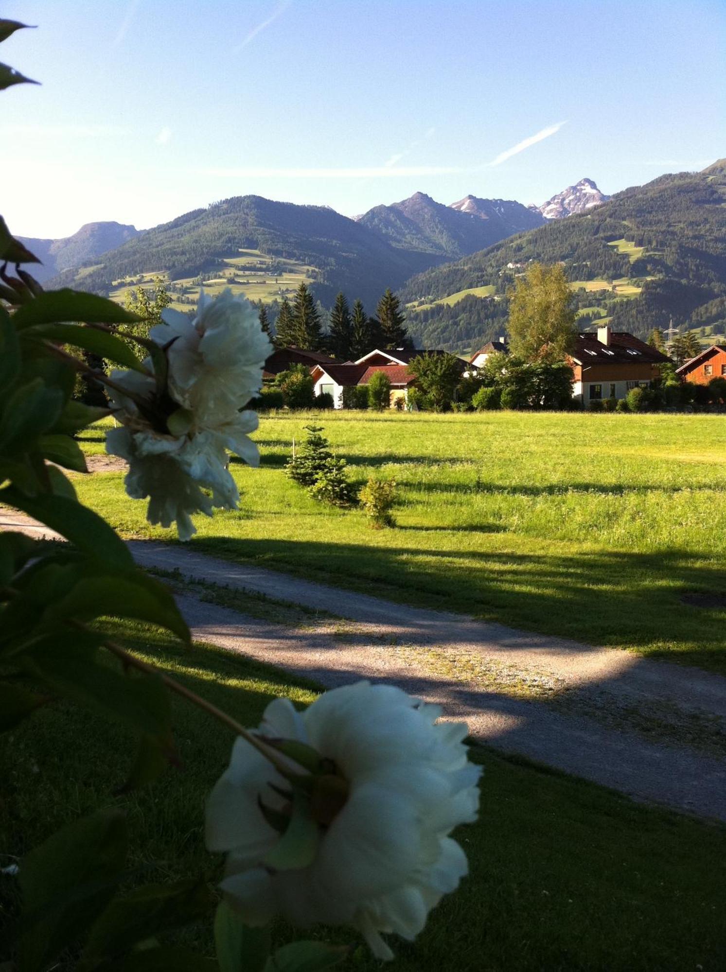 Apartmenthaus Rapplhof Haus im Ennstal Exteriér fotografie